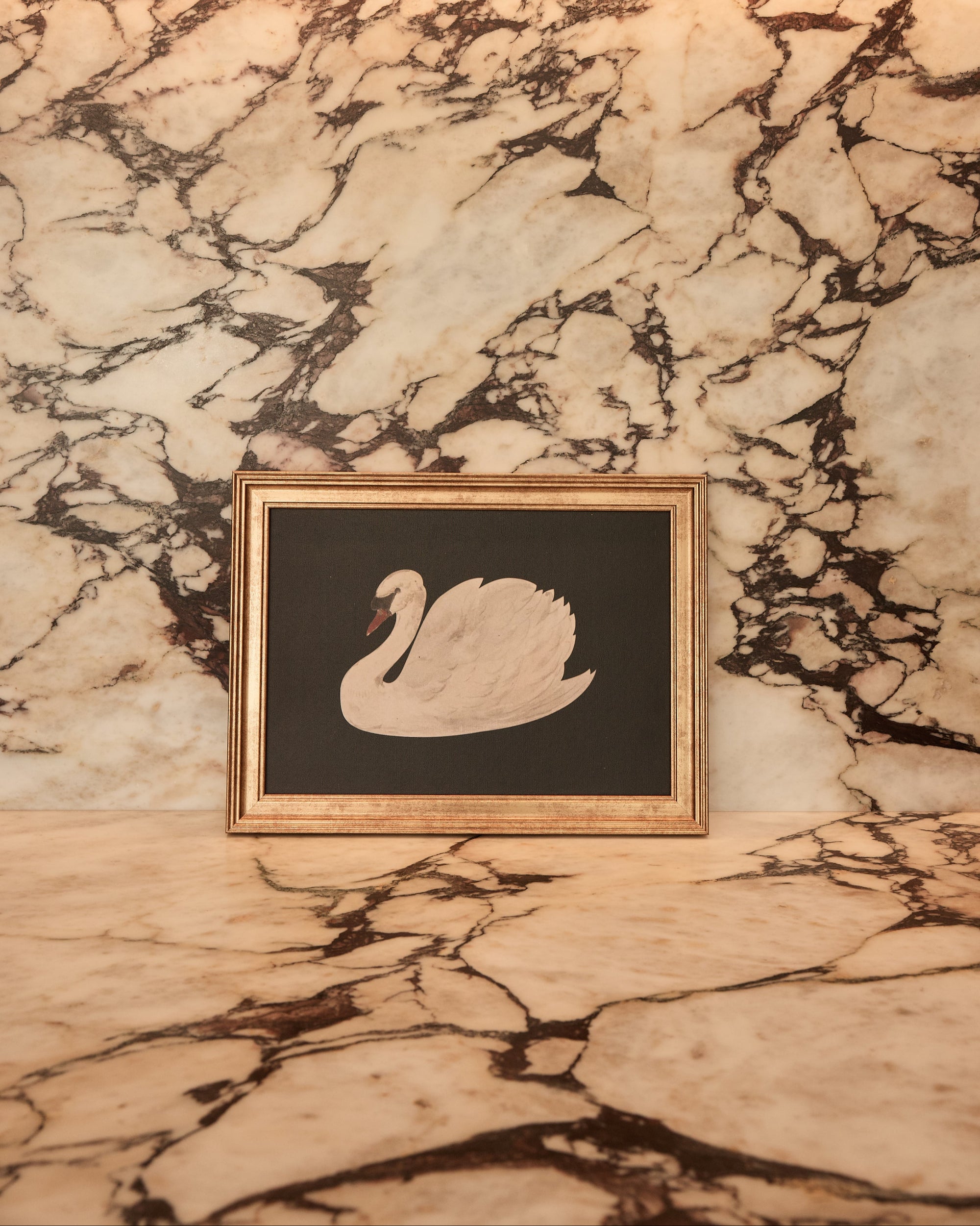 Vintage Swan Print