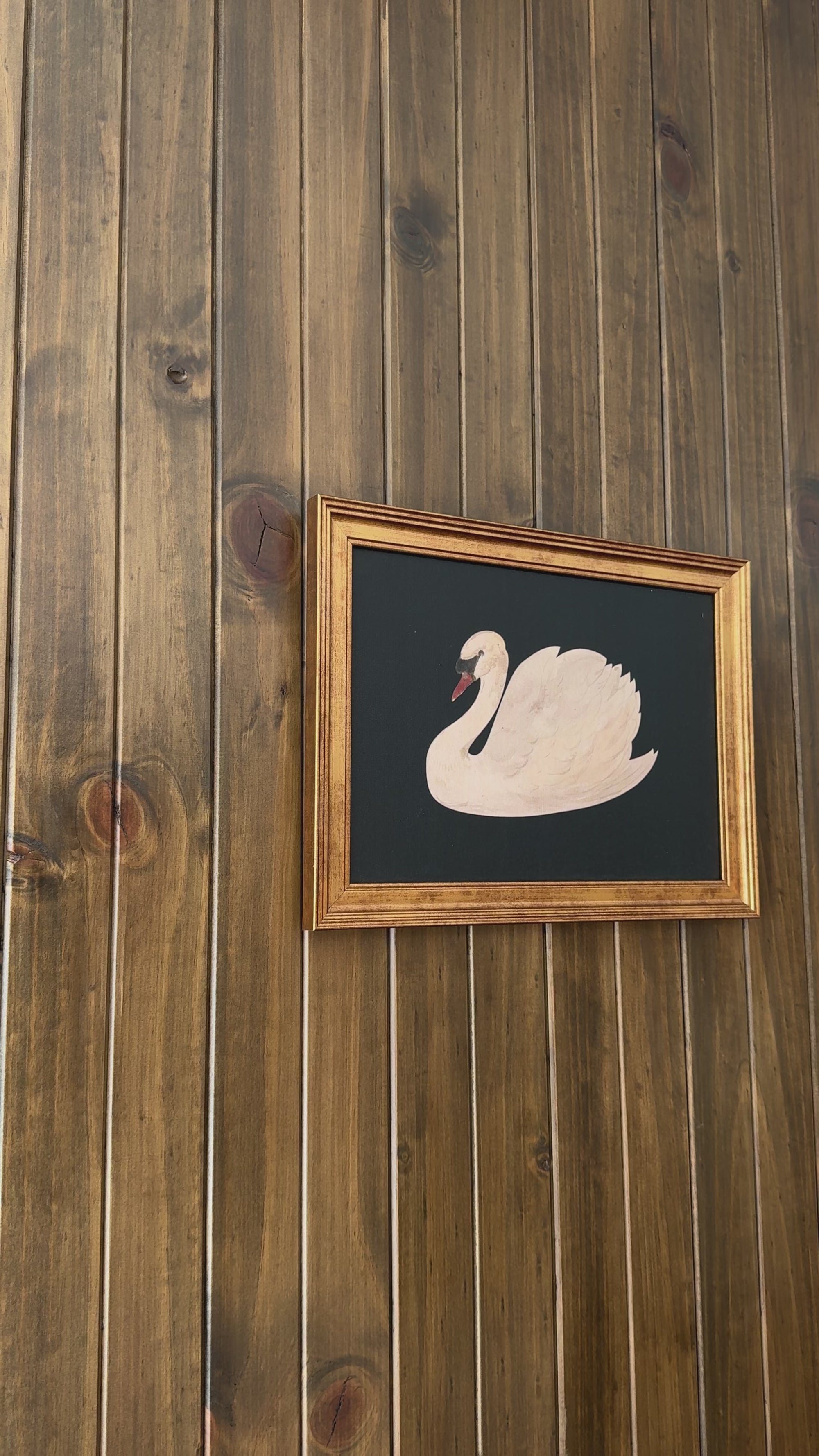 Vintage Swan Print